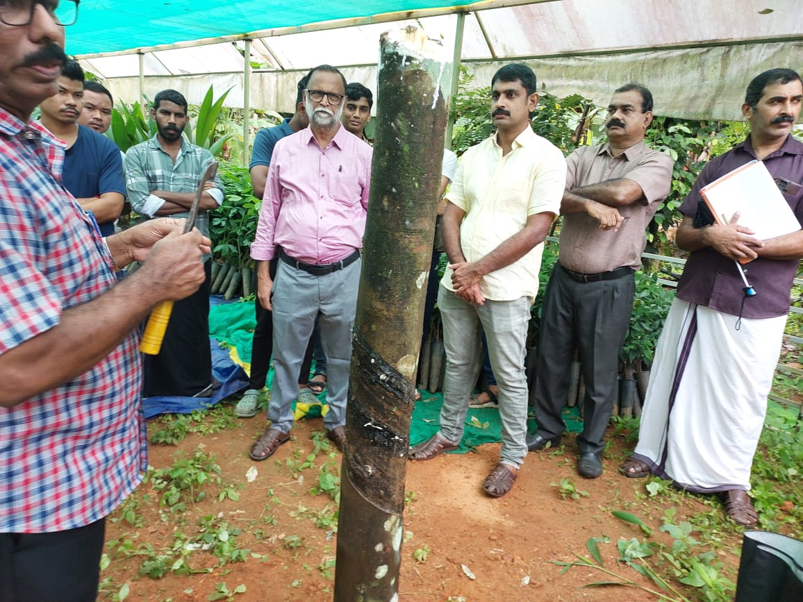 Kakkombu Rubber Guardians Event